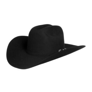 STETSON 6X Skyline, Felt Hat